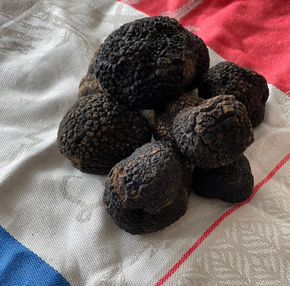 Renew Your Truffle Tree