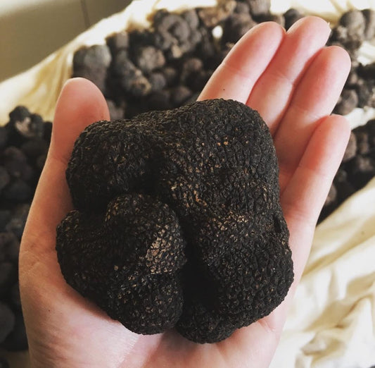 Special Truffle Deal!